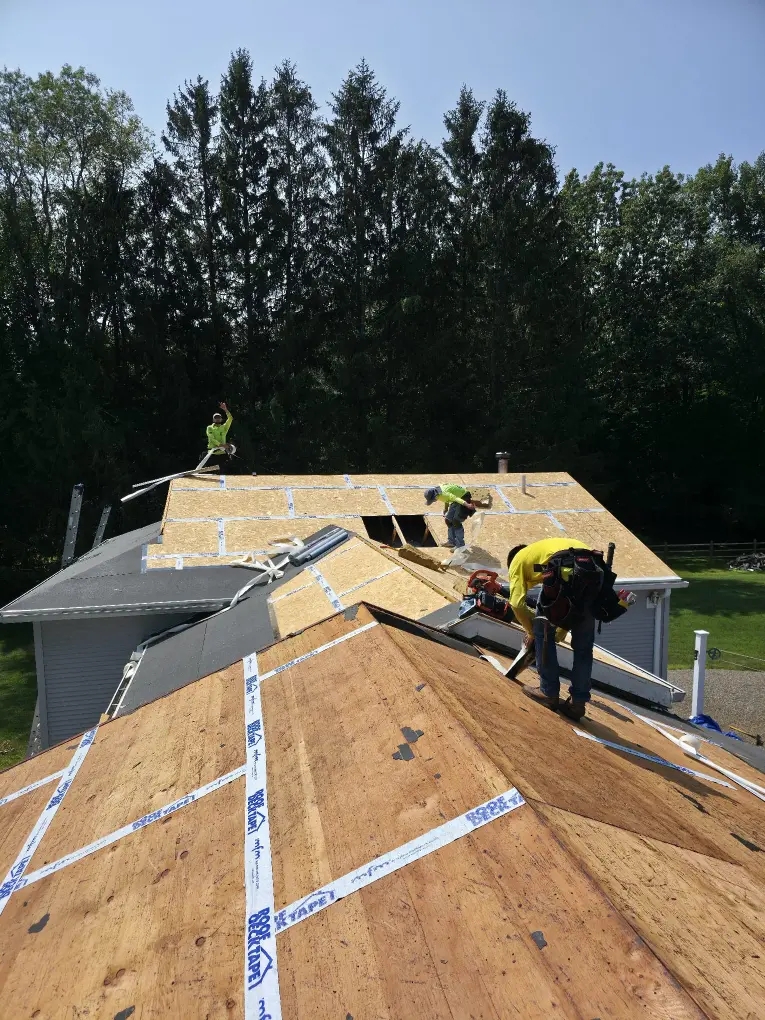 Vic J Construction